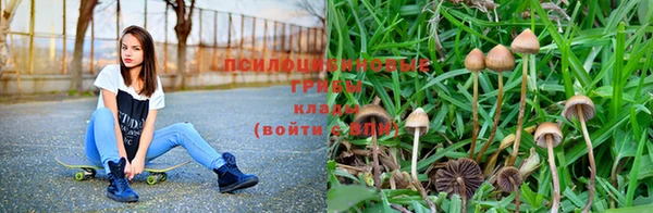 MDMA Premium VHQ Кинешма