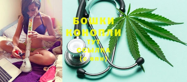 молекула духа Касимов