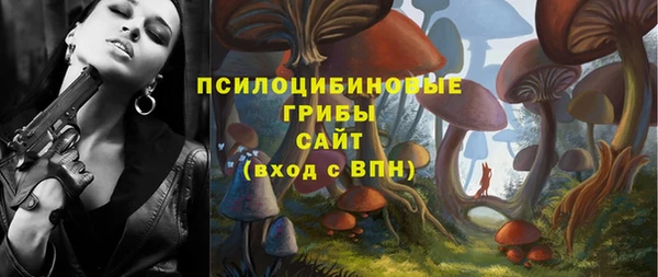 гашик Киренск