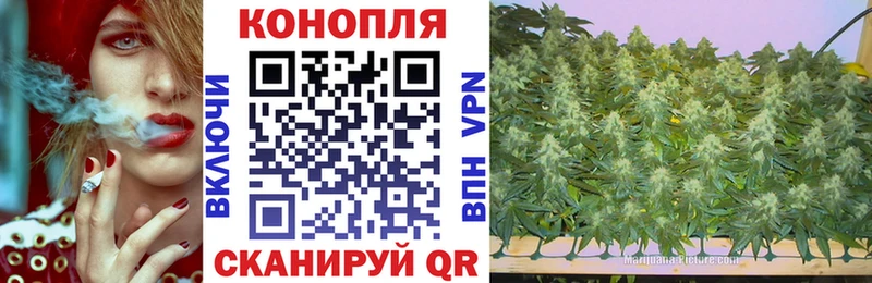 Бошки Шишки Amnesia  купить  сайты  Неман 